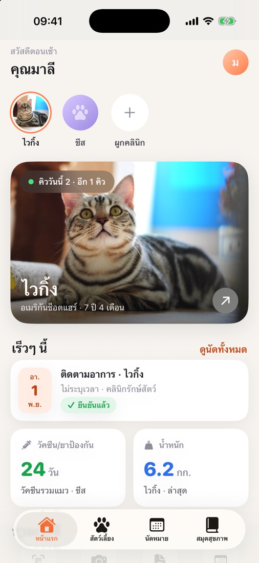 หน้าแรกของแอป สถานะคิวและนัดหมาย